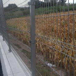 20161018_173337